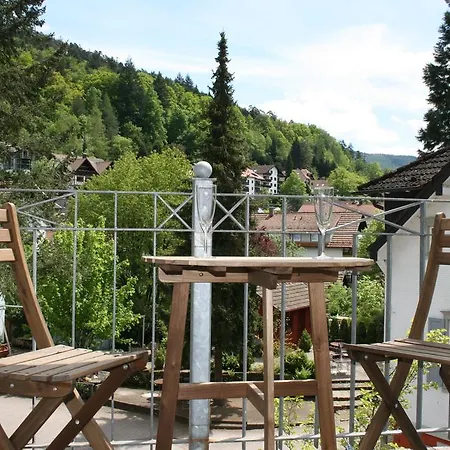 Apartment Gaestehaus Lina Bad Herrenalb